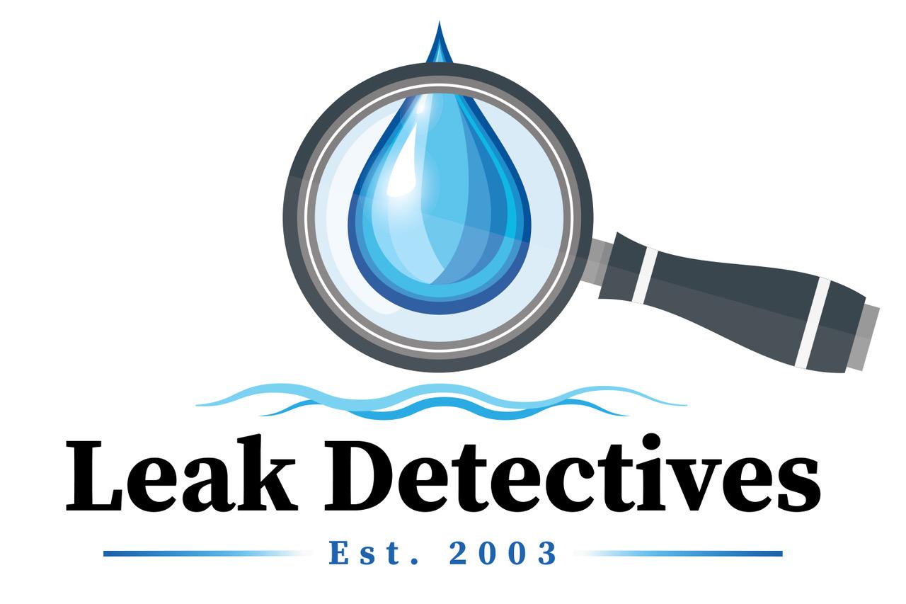 Leak Detectives